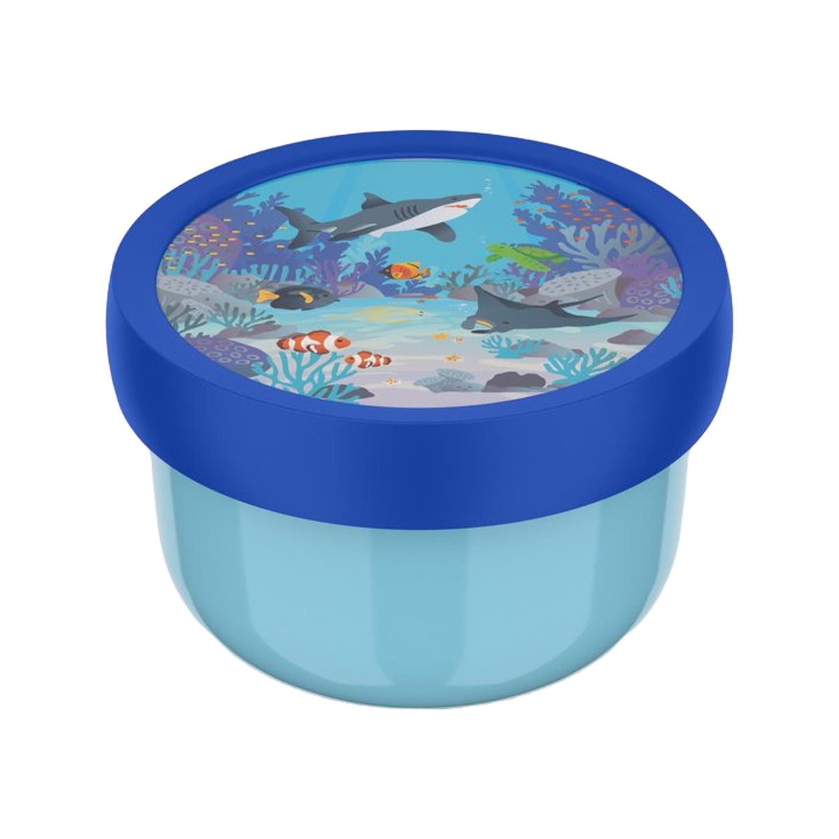 fruitbox campus 300 ml - tropical ocean