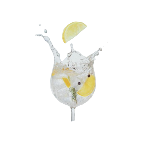 JENS Living IJsblokjesvorm Bollen