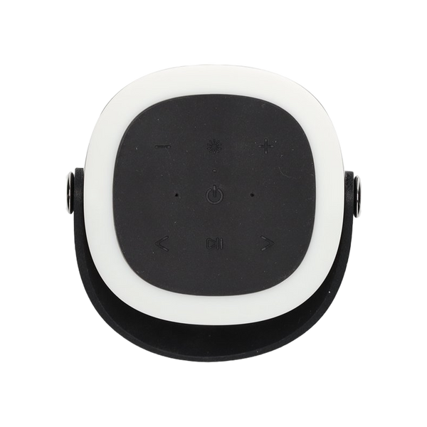 BRAINZ Tower Speaker Grijs