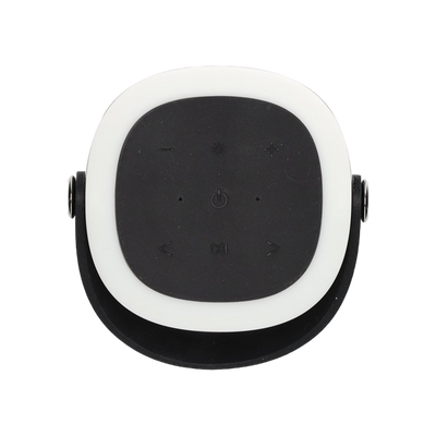 BRAINZ Tower Speaker Grijs