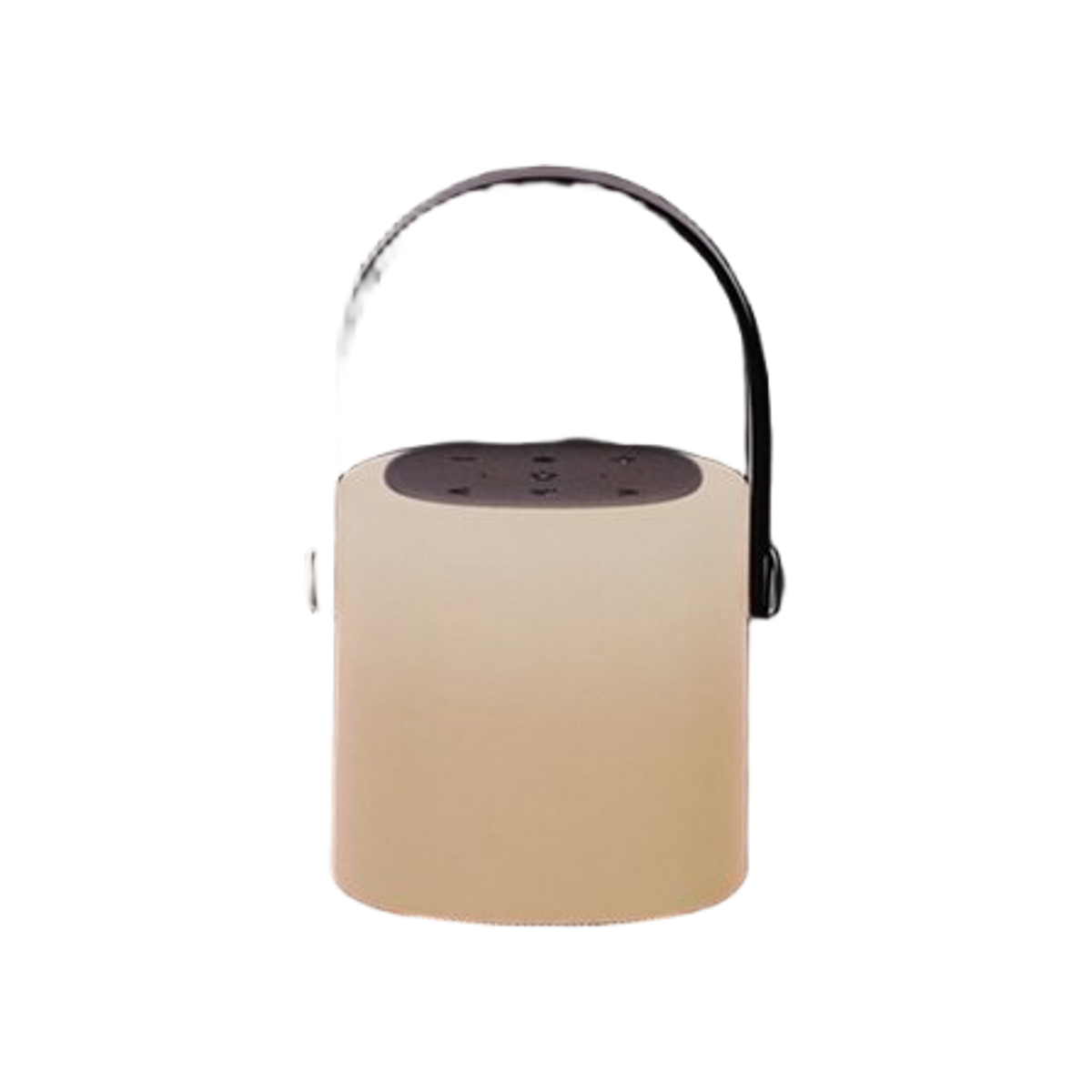BRAINZ Tower Speaker Grijs