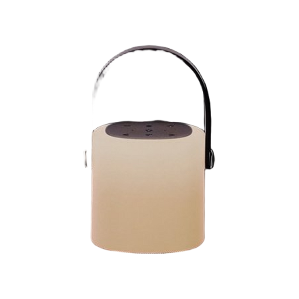 BRAINZ Tower Speaker Grijs