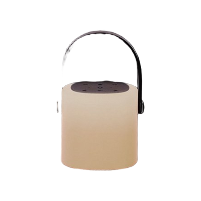 BRAINZ Tower Speaker Grijs