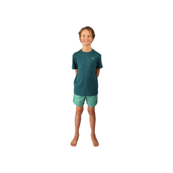 Brunotti Cestery Boys Swim Shorts
