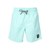 Brunotti Hestey Boys Swim Shorts
