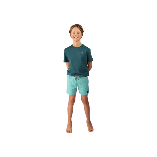 Brunotti Hestey Boys Swim Shorts