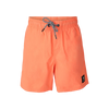 Brunotti Hestey Boys Swim Shorts