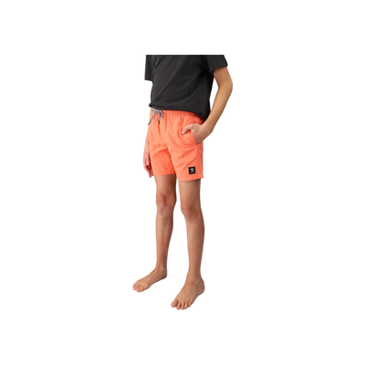Brunotti Hestey Boys Swim Shorts
