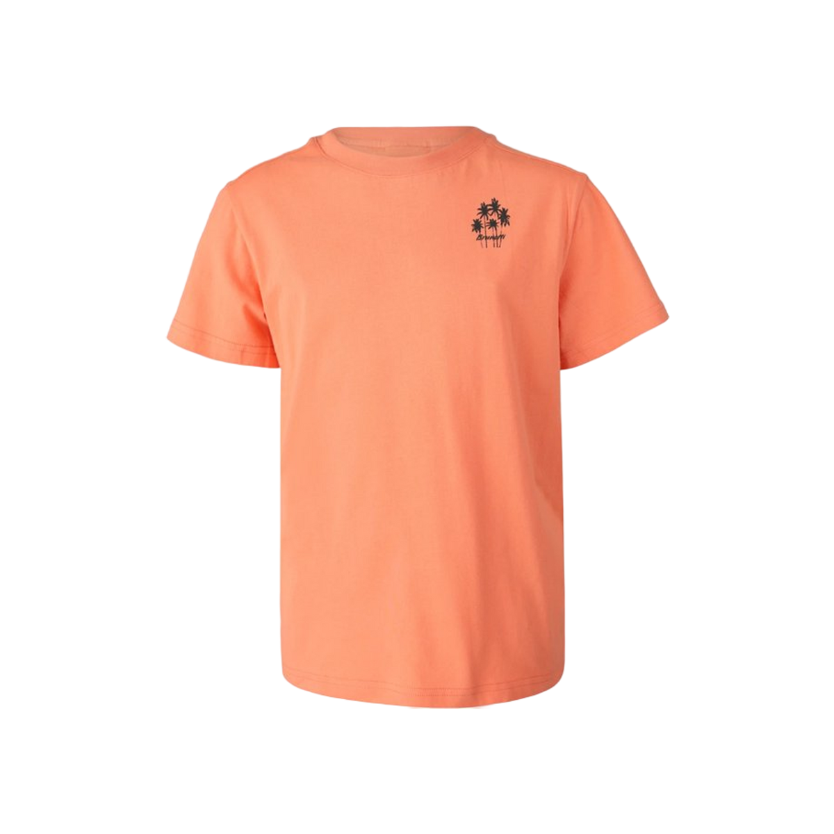 Brunotti Mlikry Boys T-shirt