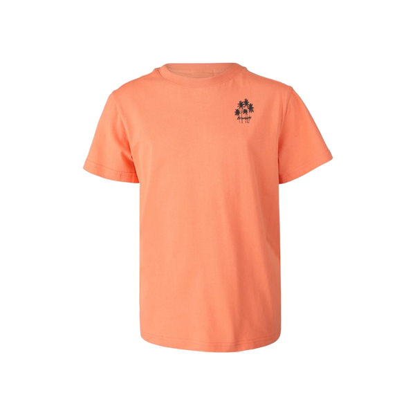 Brunotti Mlikry Boys T-shirt