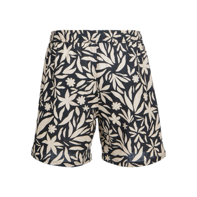 Brunotti Aiden Men Walk Shorts
