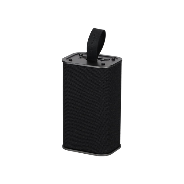 BRAINZ Speaker Spike Zwart