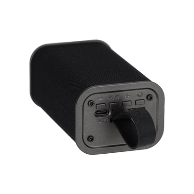 BRAINZ Speaker Spike Zwart
