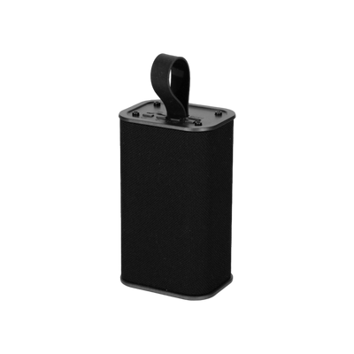BRAINZ Speaker Spike Zwart