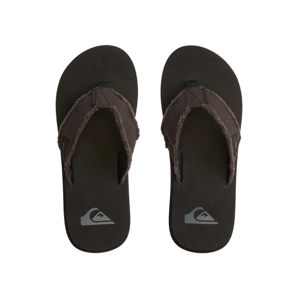 Quiksilver Monkey Abyss