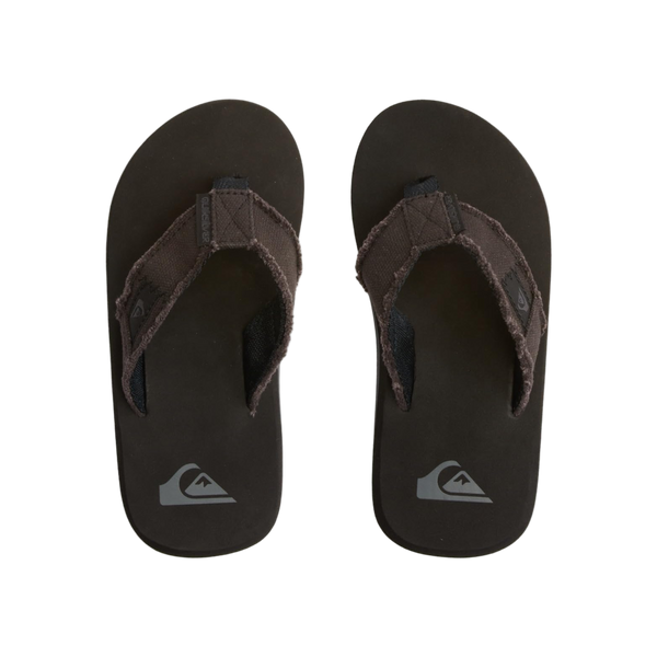 Quiksilver Monkey Abyss Youth
