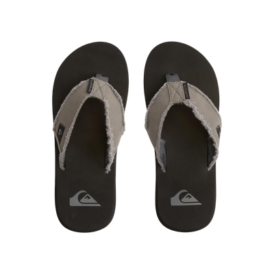 Quiksilver Monkey Abyss