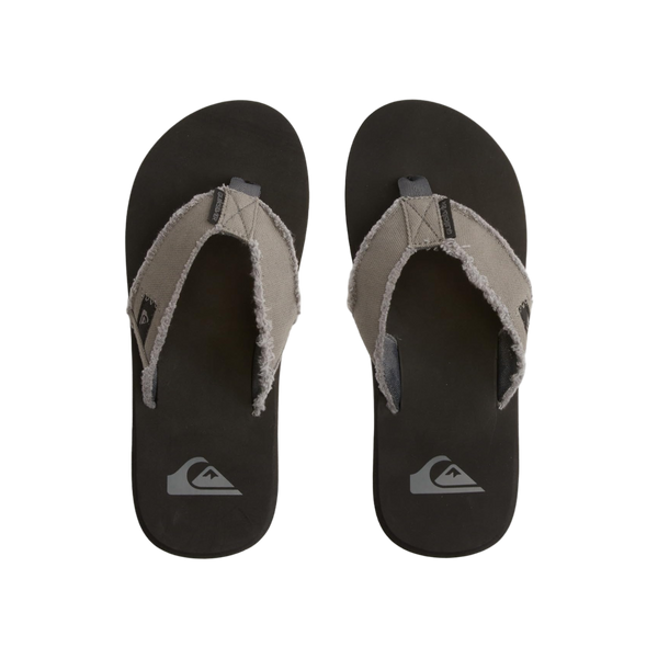 Quiksilver Monkey Abyss