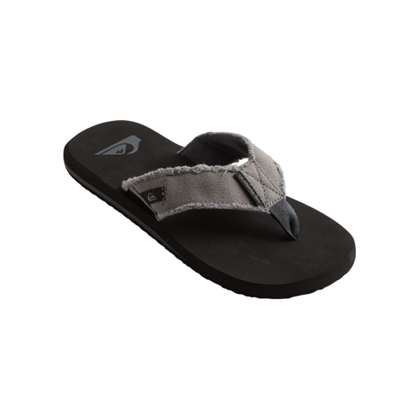Quiksilver Monkey Abyss