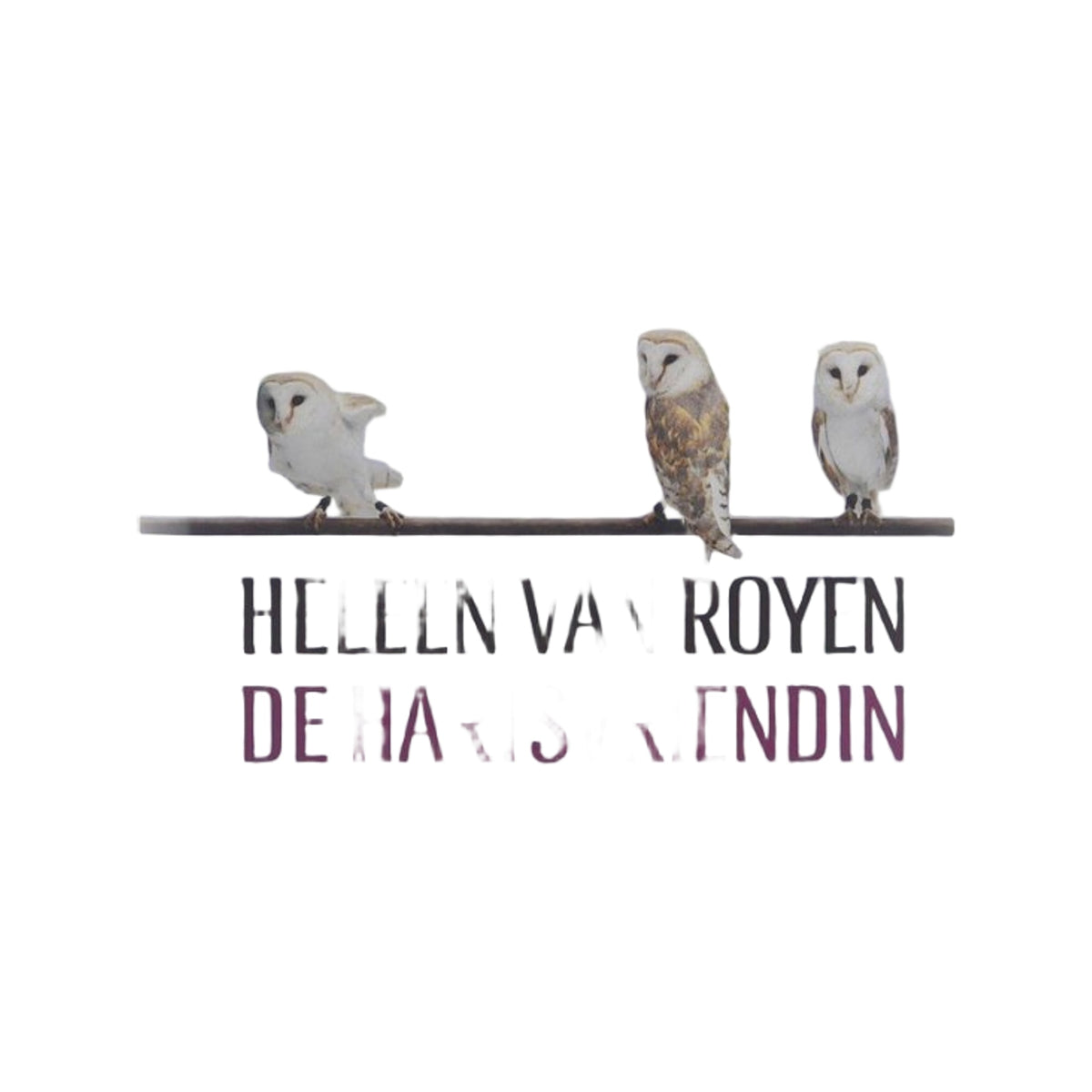 De hartsvriendin