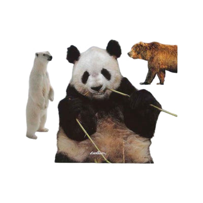Beren en panda's