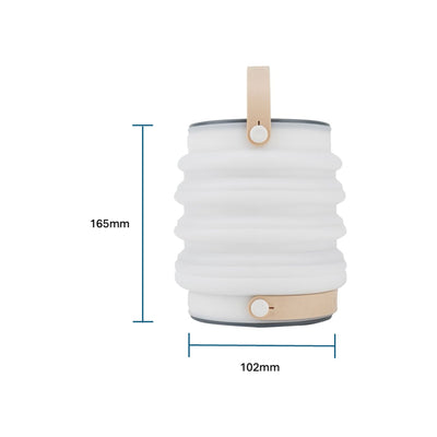 Haven  Lamp Type 6000