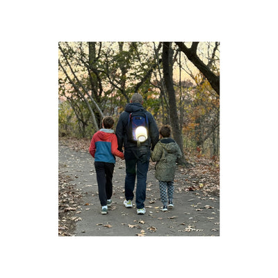 Haven  Lamp Type 10000