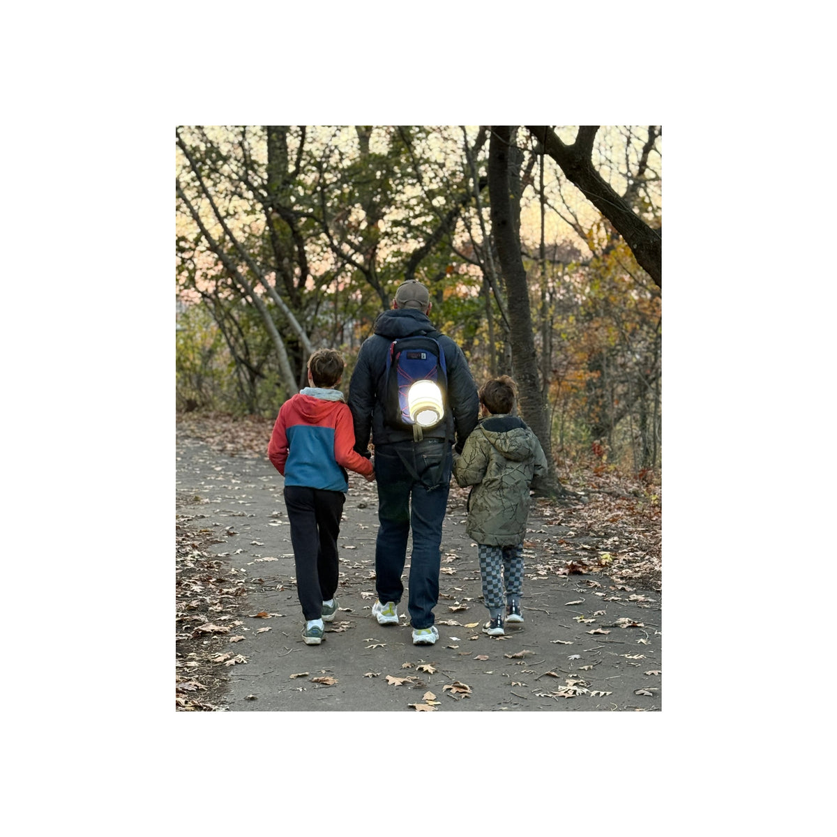 Haven  Lamp Type 10000