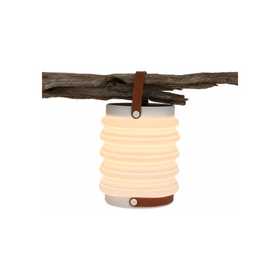 Haven  Lamp Type 10000
