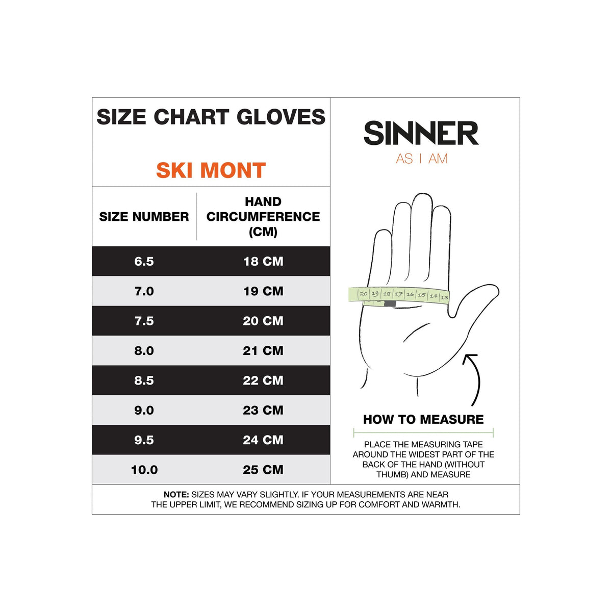 Sinner Ski Mont Glove