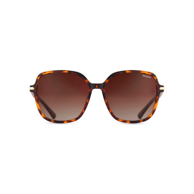 Sinner Barfleur — Matte brown tortoise