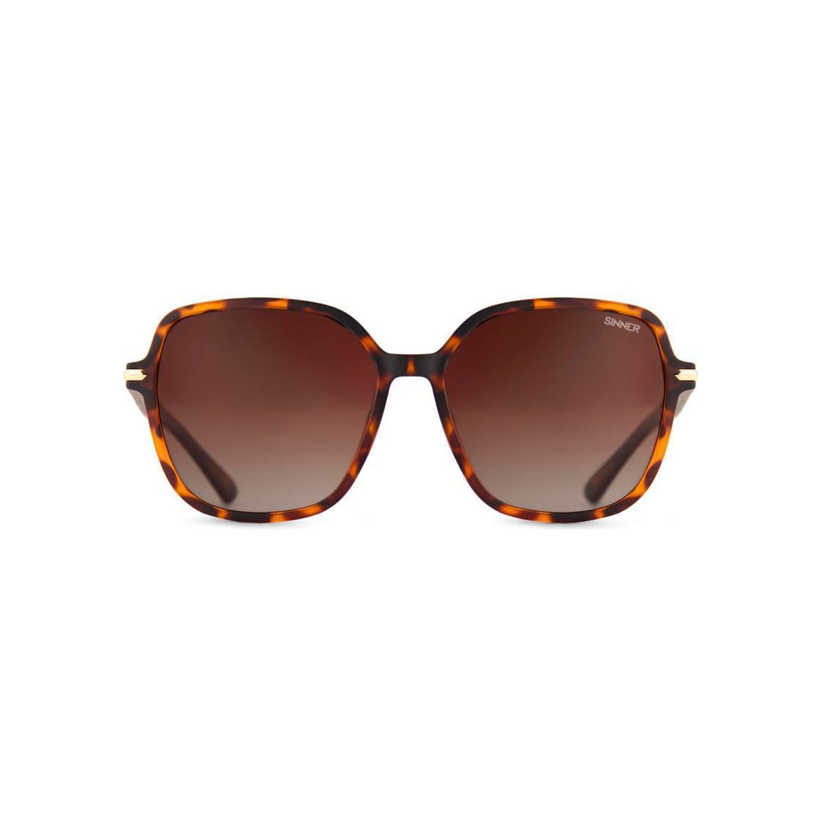 Sinner Barfleur — Matte brown tortoise