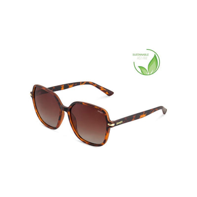 Sinner Barfleur — Matte brown tortoise
