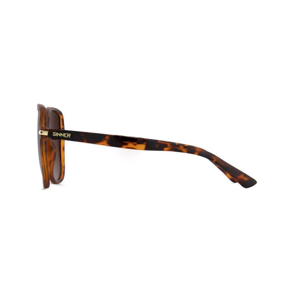 Sinner Barfleur — Matte brown tortoise