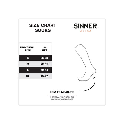 Sinner Men Ski Socks Mountain