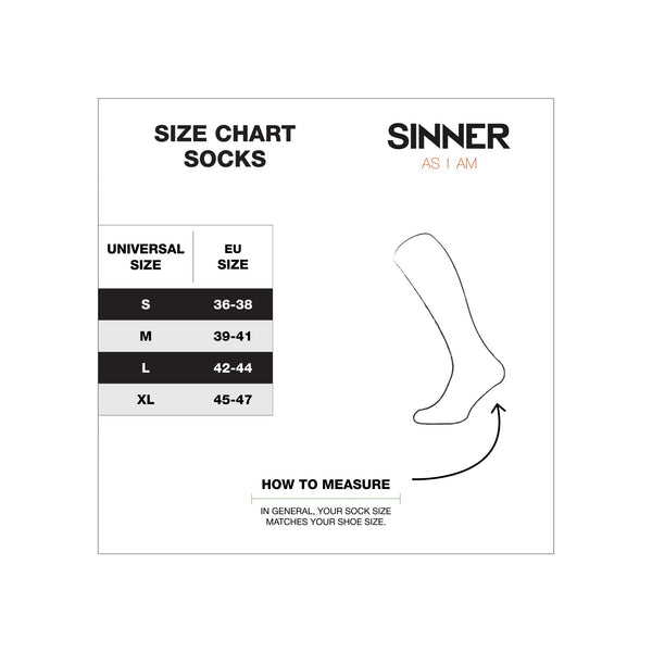 Sinner Men Ski Socks Mountain