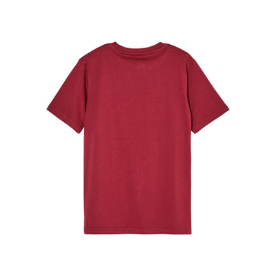 Quiksilver Ev Vista Logo Ss Y